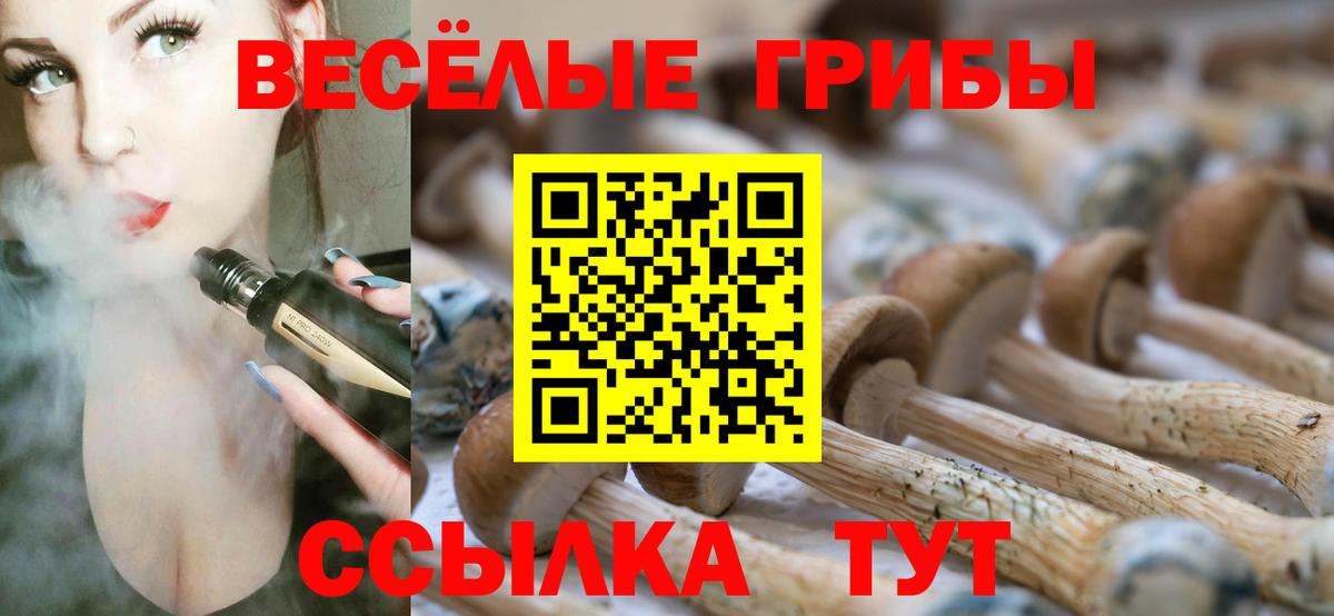 Псилоцибиновые грибы ЛСД  Вход с VPN  Псилоцибиновые грибы мухоморы  дарнет шоп  Луховицы 